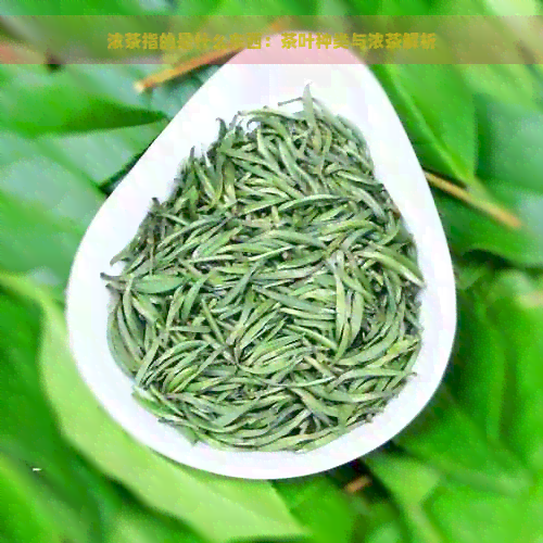 茶饮门店选址咨询服务-00